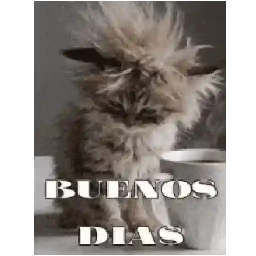 Gatitos ^_^ 18