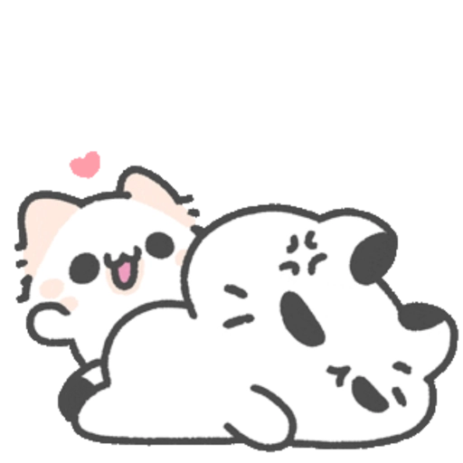 Cat Lover🫶🏻 12