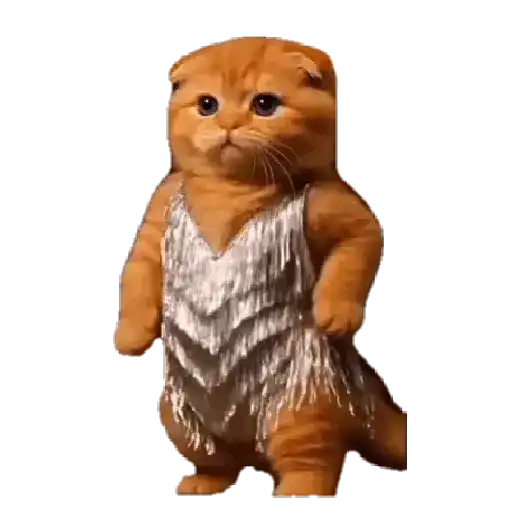 Gatitos ^_^ 13