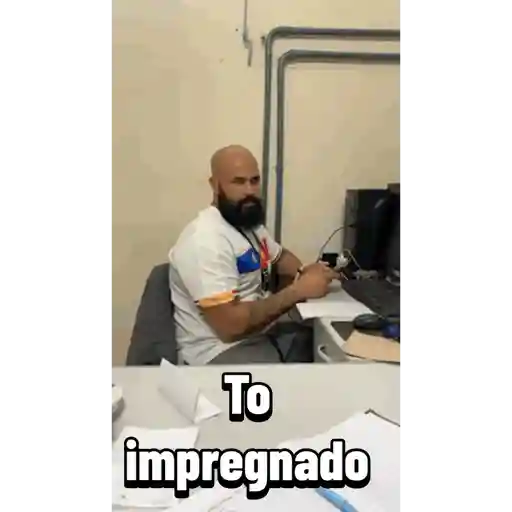Animadas 10