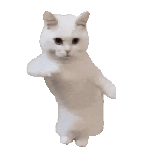 Gatitos ^_^ 4