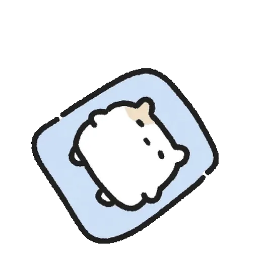 HÀMSTER LOVES✨🐹 10