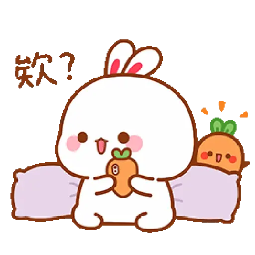 The little bunny 5 6