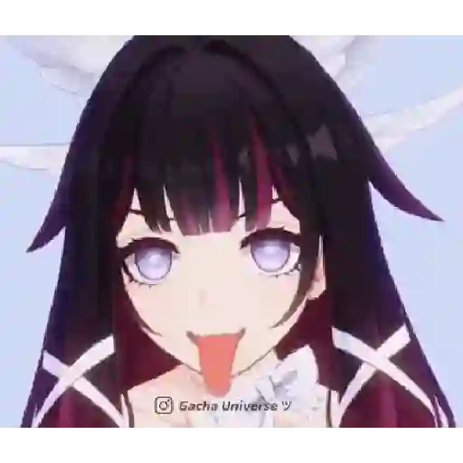 Animani 14