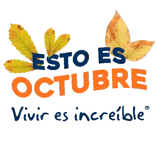 Meses del año 🗓 3