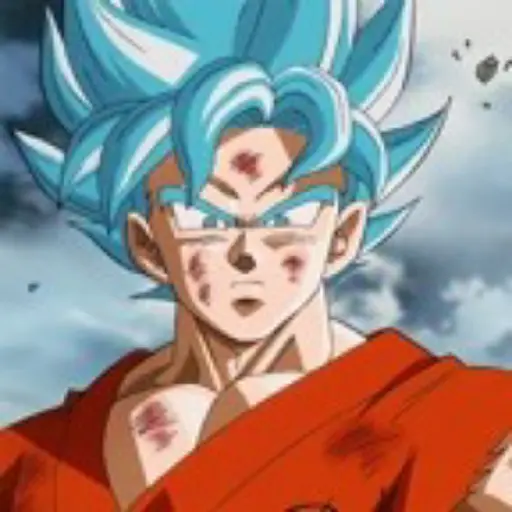 Goku 13