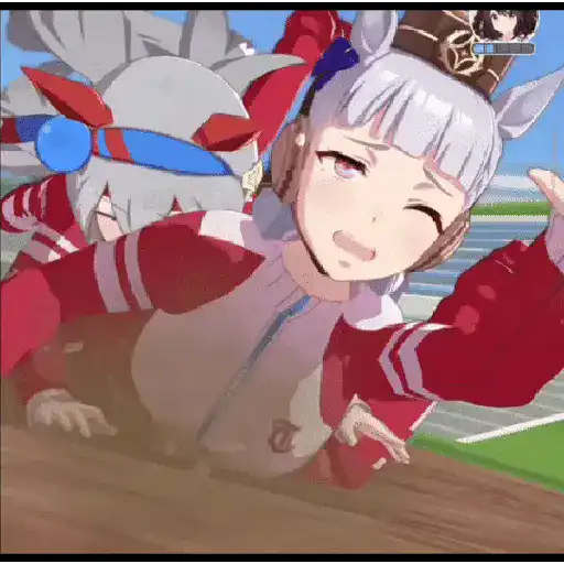 Animani 13
