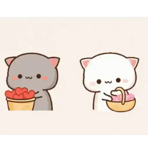 Mochi 24