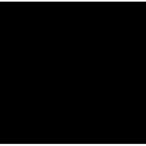 Animadas 21