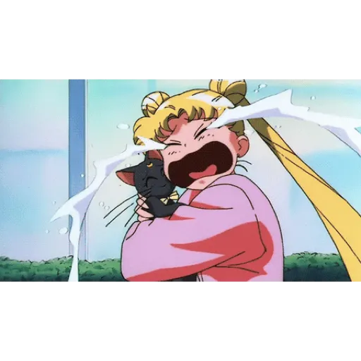 Gifs: sailor moon 27