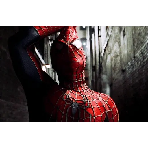Homem aranha 19