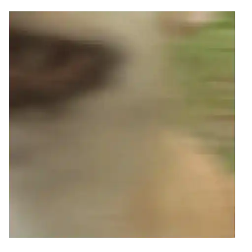Perro loco pal chat 🐶🤪 10