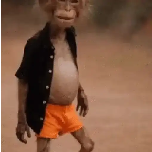 🐒 Monos Random TikTok 🐵🐒 9