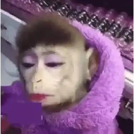 🐒 Monos Random TikTok 🐵🐒 10