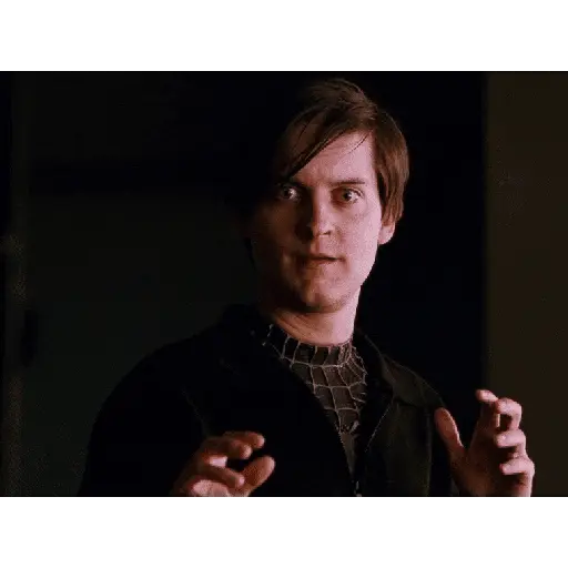 Homem aranha 14
