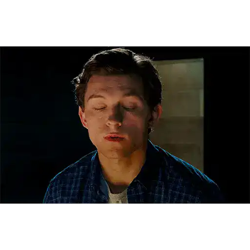 Homem aranha 6