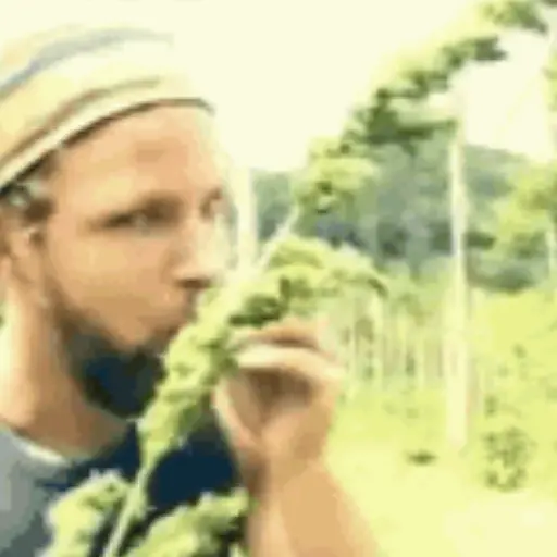 Marijuana Anime#10 18