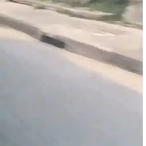 Kocak 19