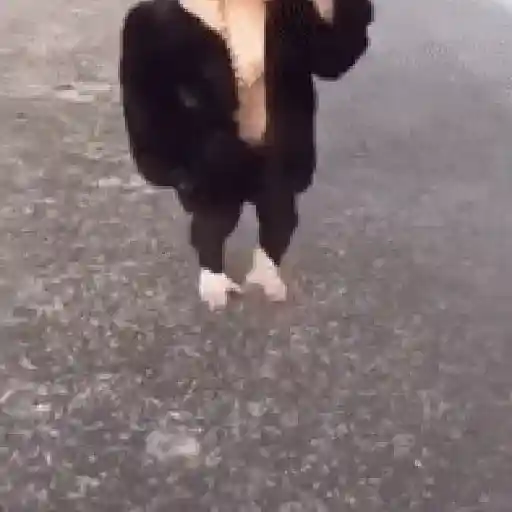 🐒 Monos Random TikTok 🐵🐒 15