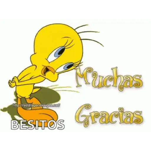 Buenas noches 5