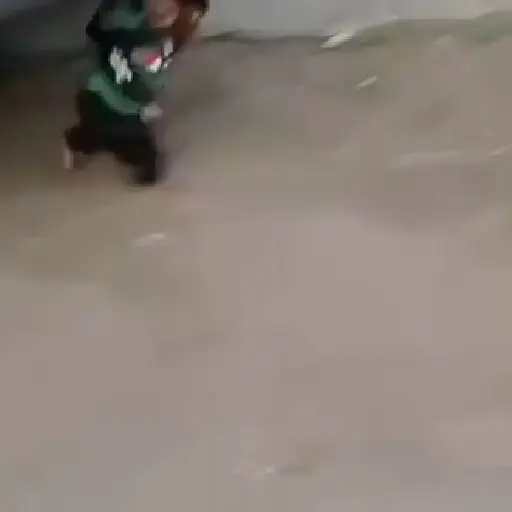 Funnymonke 4