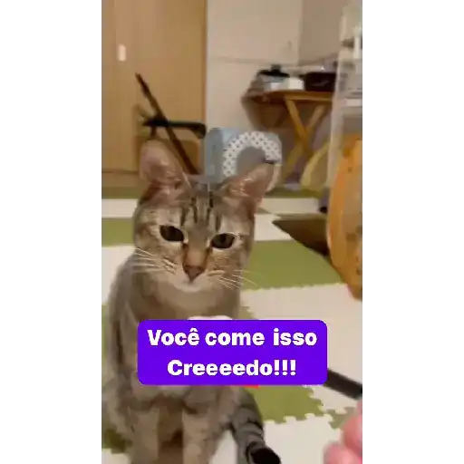 Engraçadas e fofas 18