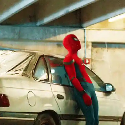 Homem aranha 25