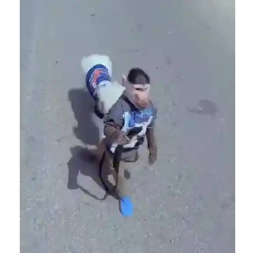 Funnymonke 6
