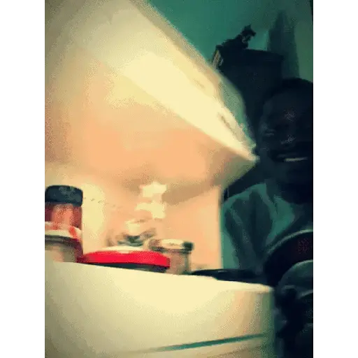 Funnymonke 21
