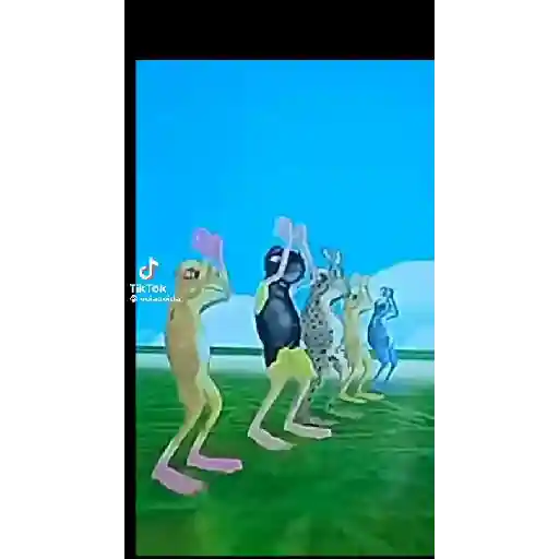Engraçadas e fofas 16