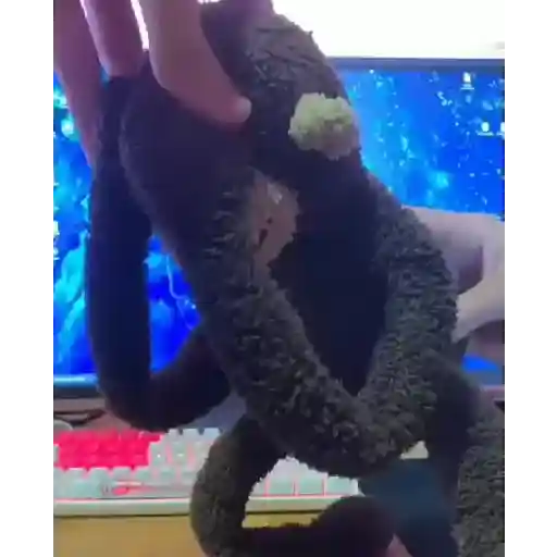 Gifs 17