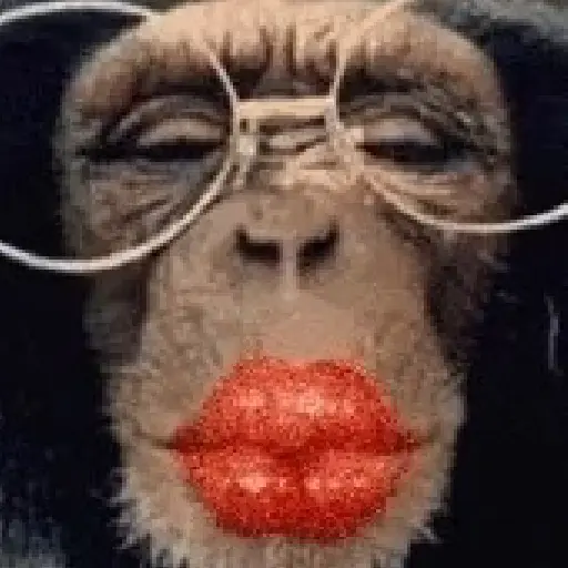 🐒 Monos Random TikTok 🐵🐒 7