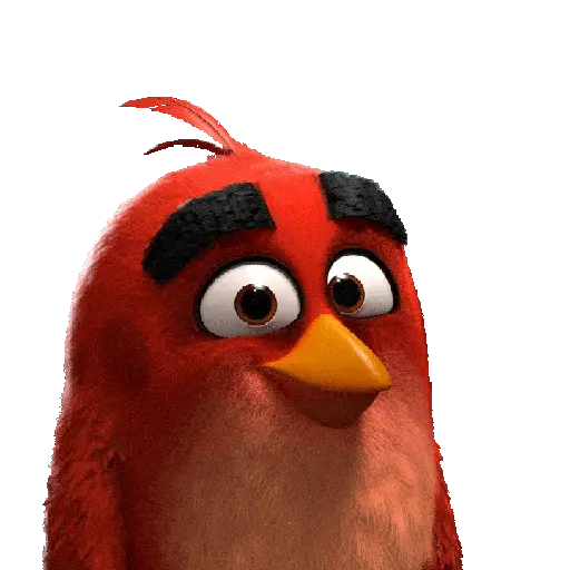 Red angry birds  4