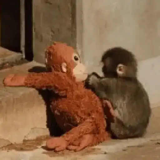 🐒 Monos Random TikTok 🐵🐒 1
