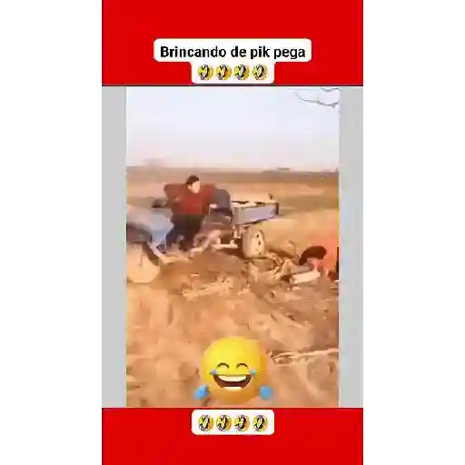Engraçadas e fofas 20