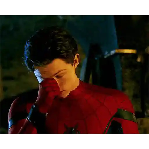 Homem aranha 29