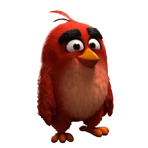 Red angry birds  3