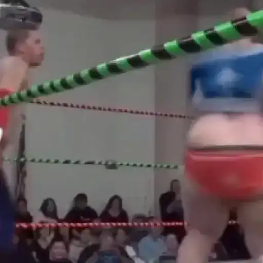 Kocak 14