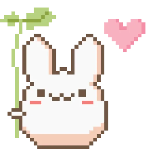 Amo meu momo 5