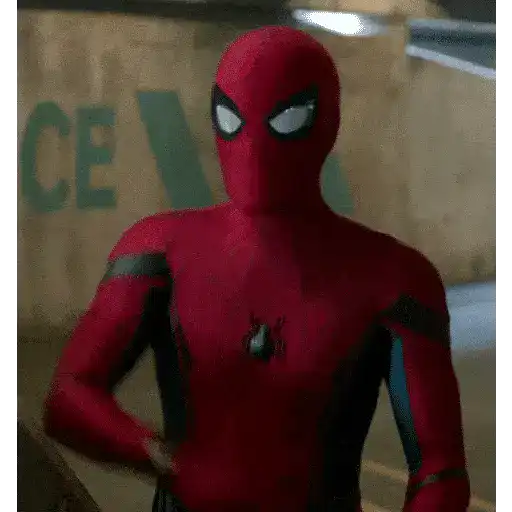 Homem aranha 28