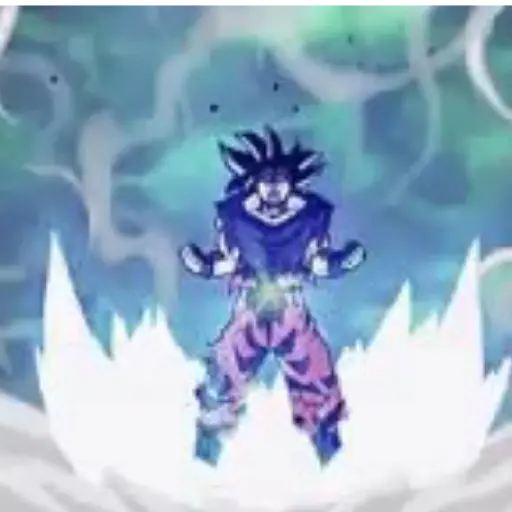 Goku 10