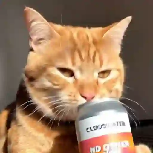 Gato mods peda 9