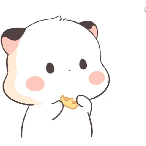 🧿Little Chubby

🐱 24