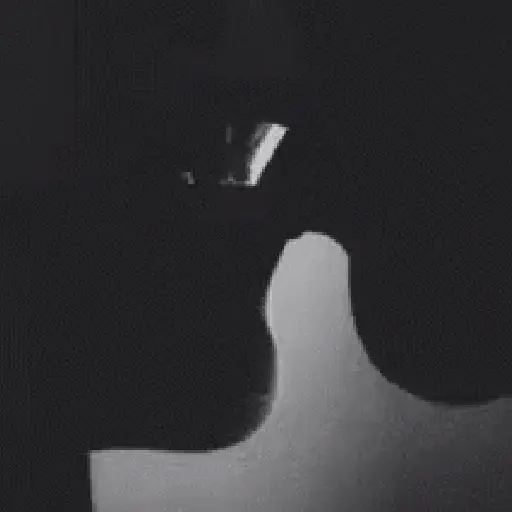 GIF Saficos 20