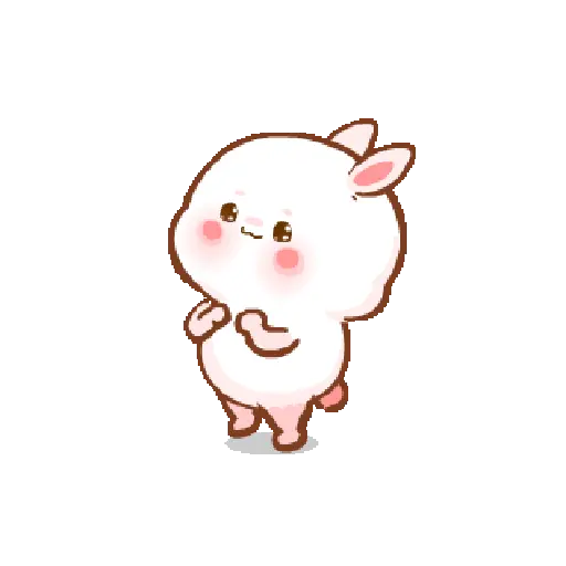 Cute bunny  11