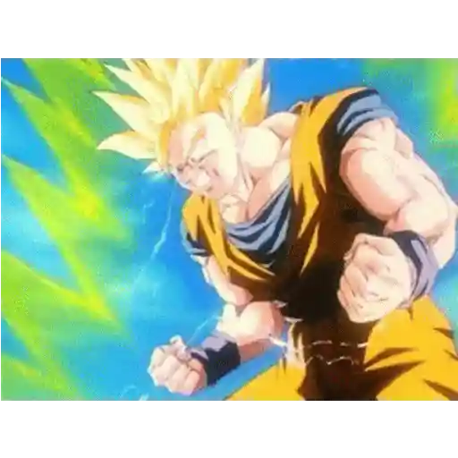 Goku 26