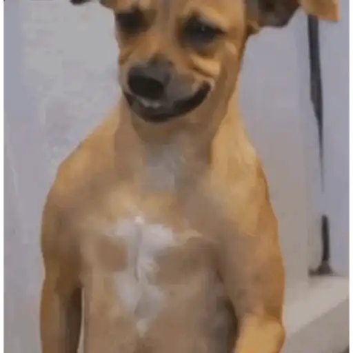 Funny very funny 18
