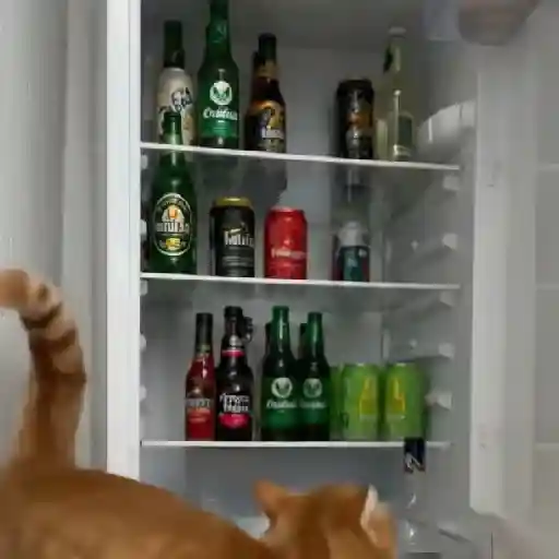 Gato mods peda 7