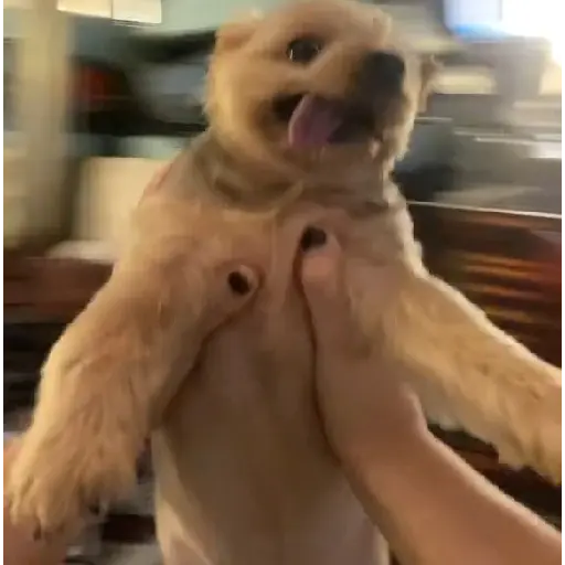 Funny very funny 2