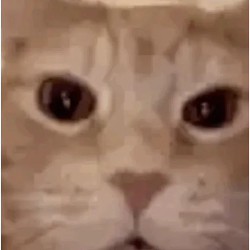 Funny very funny 9